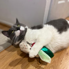 SPOT Ethical Products Buzzing Insects 5" Assorted