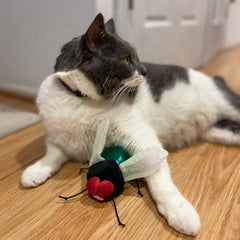 SPOT Ethical Products Buzzing Insects 5" Assorted