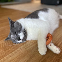 SPOT Ethical Products American Take Out 2 Pack Assorted