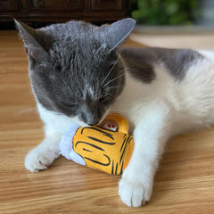 SPOT Ethical Products American Take Out 2 Pack Assorted