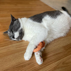 SPOT Ethical Products American Take Out 2 Pack Assorted