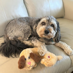 SPOT Soothers- Warm Hug Pal - Calming Plush Dog Toy with Lavender Scented Beads, Removable Squeaker, Microwavable Warming Pouch, Separation Anxiety Relief, for Medium to Large Dogs and Puppies, 10in