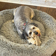 SPOT Dura-Fused Chunkies Ring - All Natural Leather and Felt Dog Toy - No Squeak, No Fluff, Durable, Extra Thick Dog Chew Toy for Aggressive Chewers, Great for Adult Dogs and Teething Puppies, 6in