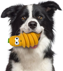 SPOT Latex Foods Dog Toys - Soft & Stuffing-Free with Honking Squeaker, 100% Latex, Brightly Colored, Ideal for Medium/Large Dogs & Light Chewers, 8-inch Assorted Styles