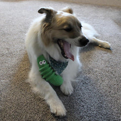 SPOT Latex Foods Dog Toys - Soft & Stuffing-Free with Honking Squeaker, 100% Latex, Brightly Colored, Ideal for Medium/Large Dogs & Light Chewers, 8-inch Assorted Styles