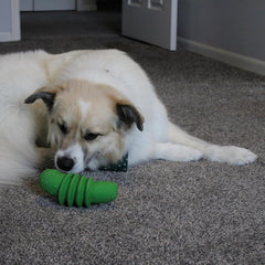 SPOT Latex Foods Dog Toys - Soft & Stuffing-Free with Honking Squeaker, 100% Latex, Brightly Colored, Ideal for Medium/Large Dogs & Light Chewers, 8-inch Assorted Styles