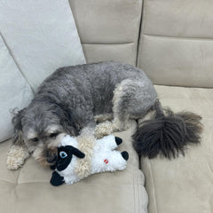 SPOT Baa Baa Black Sheep Plush Dog Toy - Cute and Cuddly Fleece Toy with Squeaker for Small to Medium Dogs and Puppies, 11in Black and White Lamb