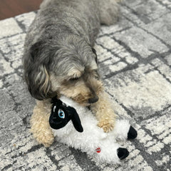 SPOT Baa Baa Black Sheep Plush Dog Toy - Cute and Cuddly Fleece Toy with Squeaker for Small to Medium Dogs and Puppies, 11in Black and White Lamb