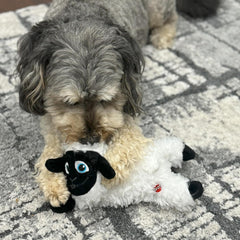 SPOT Baa Baa Black Sheep Plush Dog Toy - Cute and Cuddly Fleece Toy with Squeaker for Small to Medium Dogs and Puppies, 11in Black and White Lamb