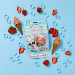 SPOT Pup Ice- Ready to Freeze at Home Dog Treats-Edible Chews for Medium Breed Dogs & Puppies with Real Chicken to Keep Your Pup Cool Year Round, Waffle Cone Strawberry Flavor, 2pcs