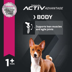 EUKANUBA™ Adult Small Bites Dry Dog Food