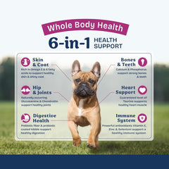 Natural Balance Health Protection Small Breed Dry Dog Food – Whole Body Health, Easy on Digestion Dog Food Made with Chicken, Brown Rice & Pumpkin for Dogs - 4lbs.