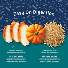 Natural Balance Health Protection Dry Dog Food – Whole Body Health, Easy on Digestion Dog Food Made with Chicken, Brown Rice & Pumpkin for Dogs - 24lbs.