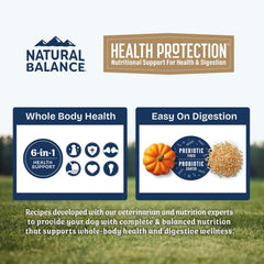 Natural Balance Health Protection Dry Dog Food – Whole Body Health, Easy on Digestion Dog Food Made with Lamb, Brown Rice & Pumpkin for Dogs - 24lbs.
