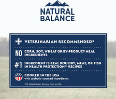 Natural Balance Health Protection Small Breed Dry Dog Food – Whole Body Health, Easy on Digestion Dog Food Made with Chicken, Brown Rice & Pumpkin for Dogs - 12lbs.