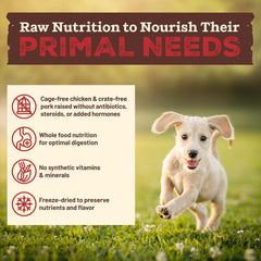 Primal Kibble in The Raw, Freeze Dried Dog Food, Puppy Recipe, Scoop & Serve, Made with Raw Protein, Whole Ingredient Nutrition, Crafted in The USA, Dry Dog Food