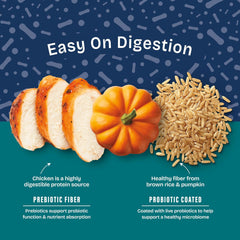 Natural Balance Health Protection Puppy Dry Dog Food – Whole Body Health, Easy on Digestion Dog Food Made with Chicken, Brown Rice & Pumpkin for Puppies - 4lbs.