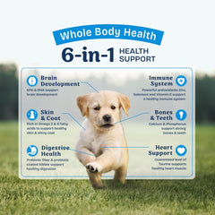 Natural Balance Health Protection Puppy Dry Dog Food – Whole Body Health, Easy on Digestion Dog Food Made with Chicken, Brown Rice & Pumpkin for Puppies - 4lbs.