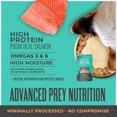 Tiki Cat Solutions Topper Multipack, Skin Coat, Salmon Recipe in Broth