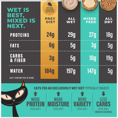 Tiki Cat Solutions Topper Multipack, Skin Coat, Salmon Recipe in Broth