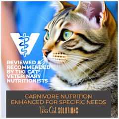 Tiki Cat Solutions Dry Cat Food, Dental, Chicken
