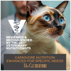 Tiki Cat Solutions Dry Cat Food, Digestion, Lamb & Egg