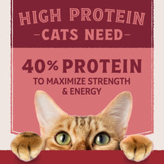Natural Balance Ultra Protein Dry Cat Food, Real Salmon & Chicken Meal Recipe, 6 lbs.