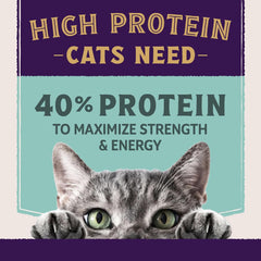 Natural Balance Ultra Protein Plus Dry Cat Food, Immune and Digestive Health Real Chicken & Chicken Meal, 2.5 lbs.