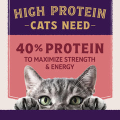 Natural Balance Ultra Protein Plus Dry Cat Food, Skin & Coat and Digestive Health, Real Salmon & Chicken Meal Recipe, 5 lbs.