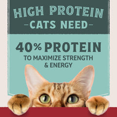 Natural Balance Ultra Protein Dry Cat Food, Real Chicken & Chicken Meal Recipe, 10 lbs.
