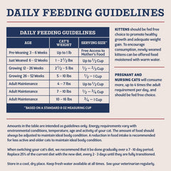 Natural Balance Ultra Protein Kitten Dry Cat Food, Real Chicken & Chicken Meal Recipe, 6 lbs.