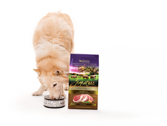 Zignature Pork Limited Ingredient Formula Dry Dog Food