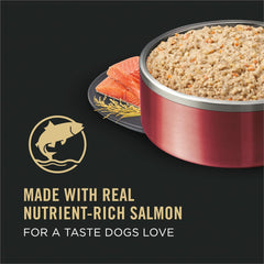 Purina Pro Plan Canned Dog Food, Sensitive Skin & Stomach Salmon & Rice, 13 oz, 12 Pack