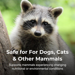 PetAg Bene-Bac Plus Pet Gel - 15 g Syringe - FOS & Probiotics for Dogs, Cats, Exotic & Wildlife Mammals