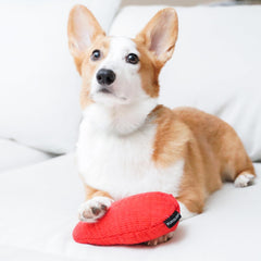 Playology Plush Crinkle Dog Toy -Crinkle Egg - Beef Scented Dog Toy, Engaging, All-Natural, and Interactive Non-Toxic Chew Toys