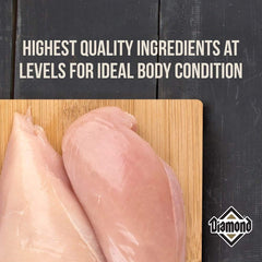 Diamond PREMIUM RECIPE Maintenance Complete and Balanced Dry Dog Food for a Moderately Active Dog,