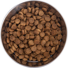 Health Extension Large Bites Chicken & Brown Rice Dry Dog Food (30 lb / 13.61 kg) - Protein-Rich Formula with Probiotics & Essential Nutrients for Larger Breeds