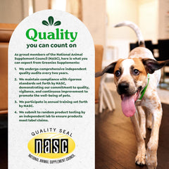 Greenies Skin & Coat Supplement Dog 7.27 oz