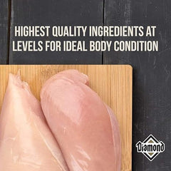 Diamond Performance Recipe with Meat First, High Protein, Grains and No Peas, Lentils, Chickpeas, Potatoes, or Sweet Potatoes 40 Pound (Pack of 1)