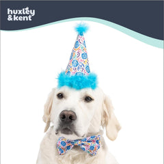 Huxley & Kent Pet Party Hat w/SnugFit Tech - Cute Glitter Doggie Birthday Party Hat - Cat & Dog Birthday Hat - Dog Hats for Parties, Adoption or Gotcha Day (Happy Got Me Day, Large)