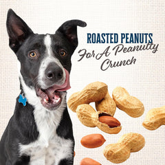 Wholesomes Gourmet Rewards Biscuit Dog Treats Peanutty Bites