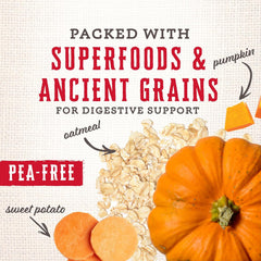 Wholesomes Classic Rewards Dog Treats Original