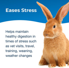 PetAg Bene-Bac Plus Pet Gel - 15 g Syringe - FOS & Probiotics for Dogs, Cats, Exotic & Wildlife Mammals