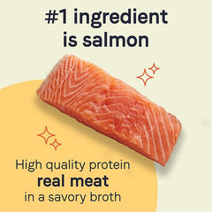 Canidae Pure Limited Ingredient Premium Adult Wet Dog Food, Salmon & Sweet Potato Recipe, 13 oz. (Case of 12), Grain Free