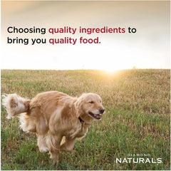 Diamond Naturals Extreme Athlete High Protein Real Meat Recipe Dry Dog Food 40 Pound (Pack of 1)