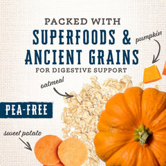 Wholesomes Gourmet Rewards Biscuit Dog Treats Peanutty Bites