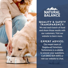 Natural Balance Health Protection Wet Dog Food - Whole Body Health, Easy on Digestion, Salmon Broth, Salmon, Pumpkin & Brown Rice Stew, Digestive Wellness Dog Food, High in Fiber - 12.5oz (Case of 6)