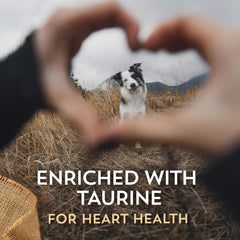 Wholesomes Whitefish Meal & Chickpeas Grain-Free Dry Dog Food 35 lb