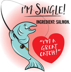 Evanger's Against The Grain Nothing Else! 100% Salmon Dog Food – 12 Count, 11 oz Each – Single-Ingredient Meatball Texture in Natural Broth – Wet Dog Food – Grain & Gluten Free