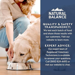 Natural Balance Health Protection Wet Dog Food - Whole Body Health, Easy on Digestion, Beef, Pumpkin & Brown Rice Stew, Digestive Wellness Dog Food, High in Fiber - 12.5oz (Case of 6)